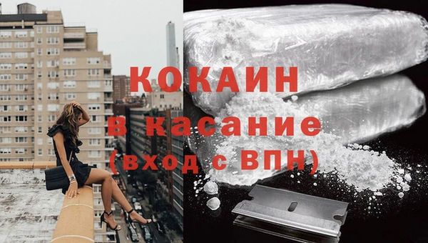 гашик Алексеевка