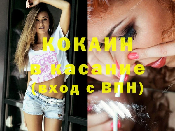 гашик Алексеевка