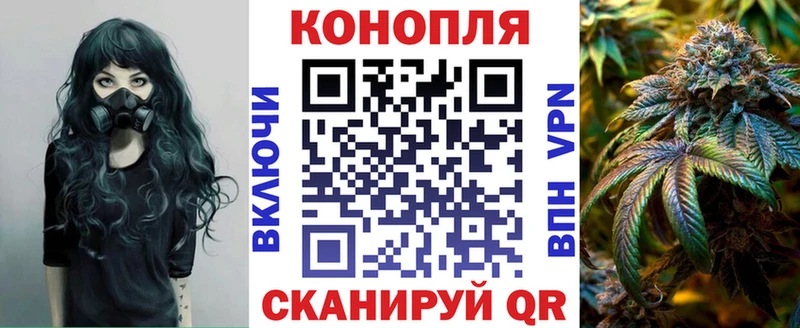 где купить Абдулино Бошки Шишки ГИДРОПОН